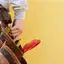 Handyman repair service in Reno, NV for home fixes and improvements